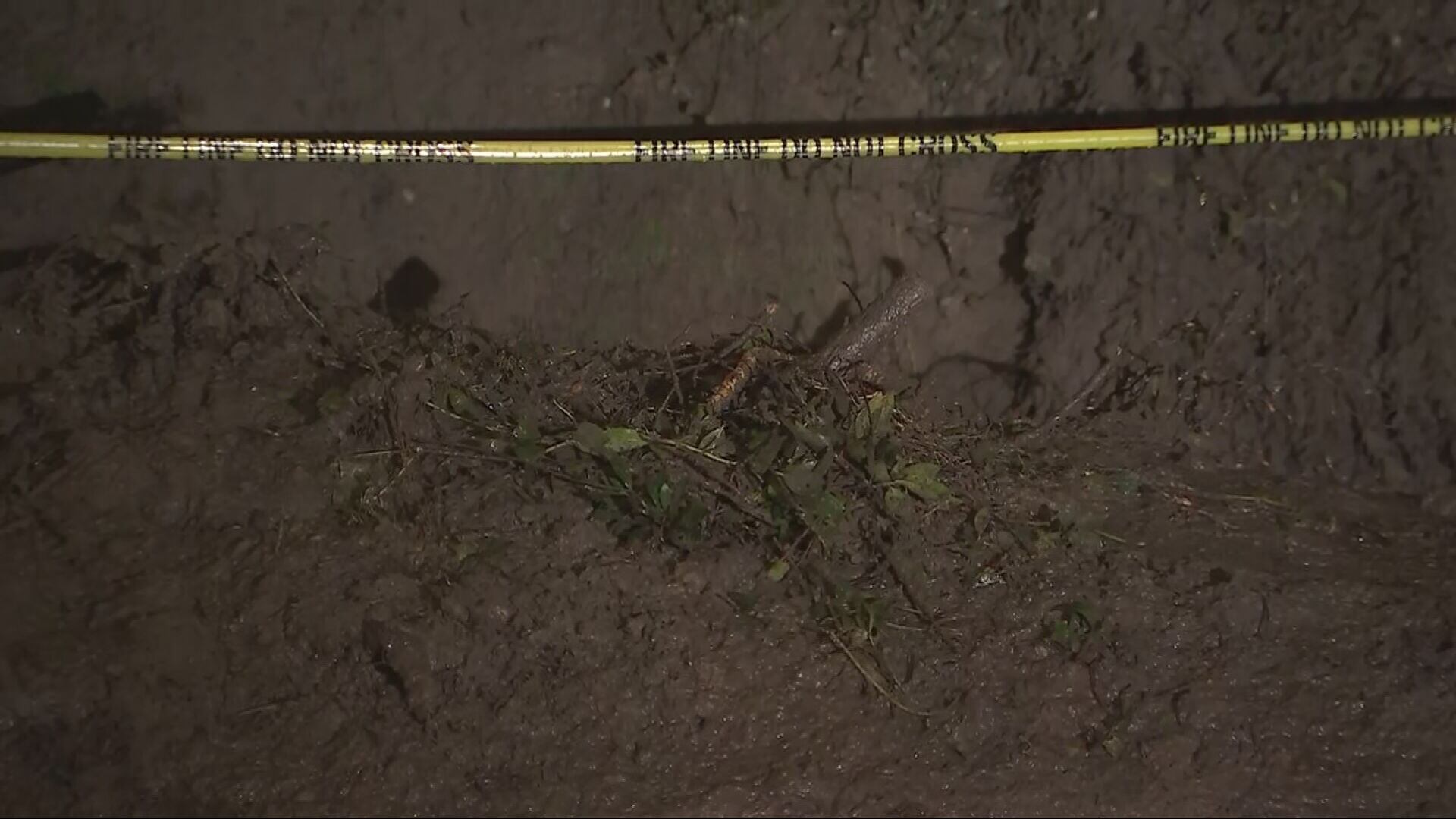 A landslide in Seattle's Leschi neighborhood came down on Lakeside Avenue near East Alder Street.