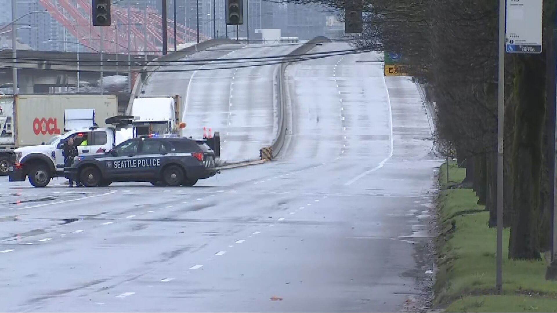 Downed power lines on East Marginal Way along SR 99
