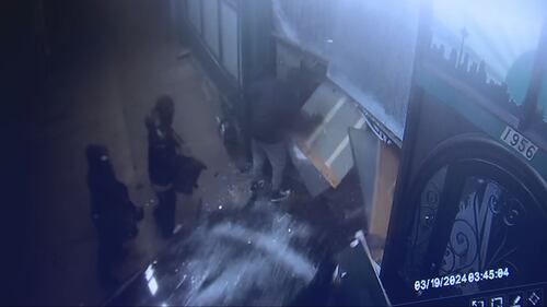 Surveillance video showed that the Hyundai backed into the store twice to break through.