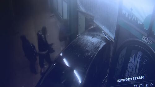 Surveillance video showed that the Hyundai backed into the store twice to break through.