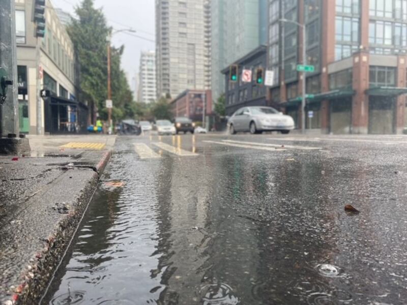 Seattle rain