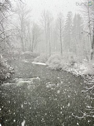 Snow in Startup, WA