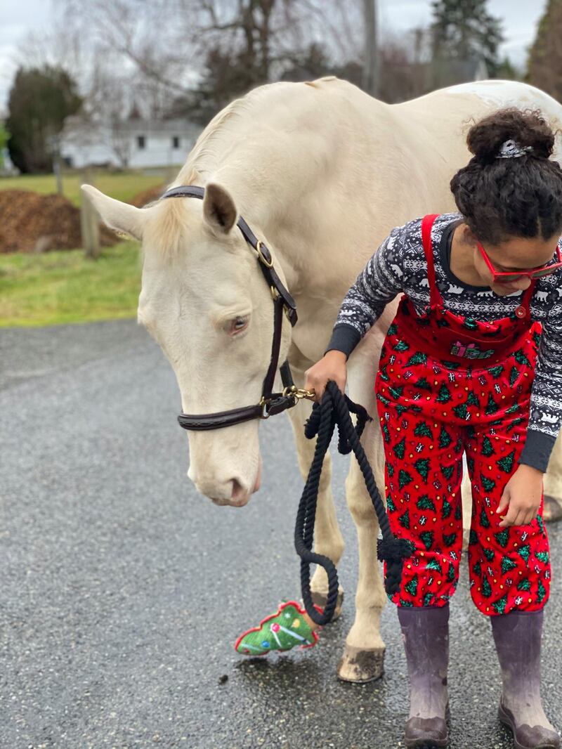 Beloved horse shot and killed in Tacoma