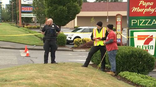 Scene of fatal hit-and-run crash in Everett