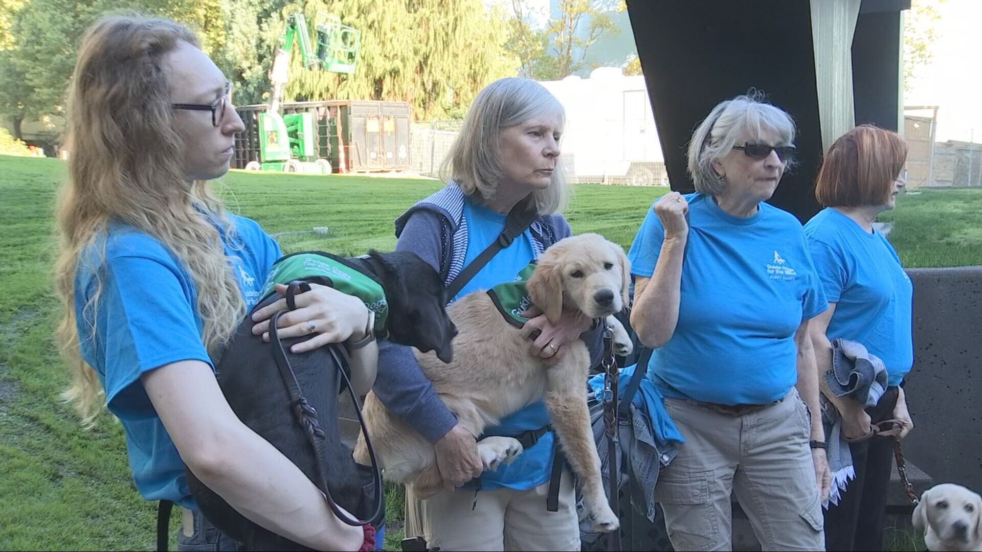 Guide-puppies training on King County Metro