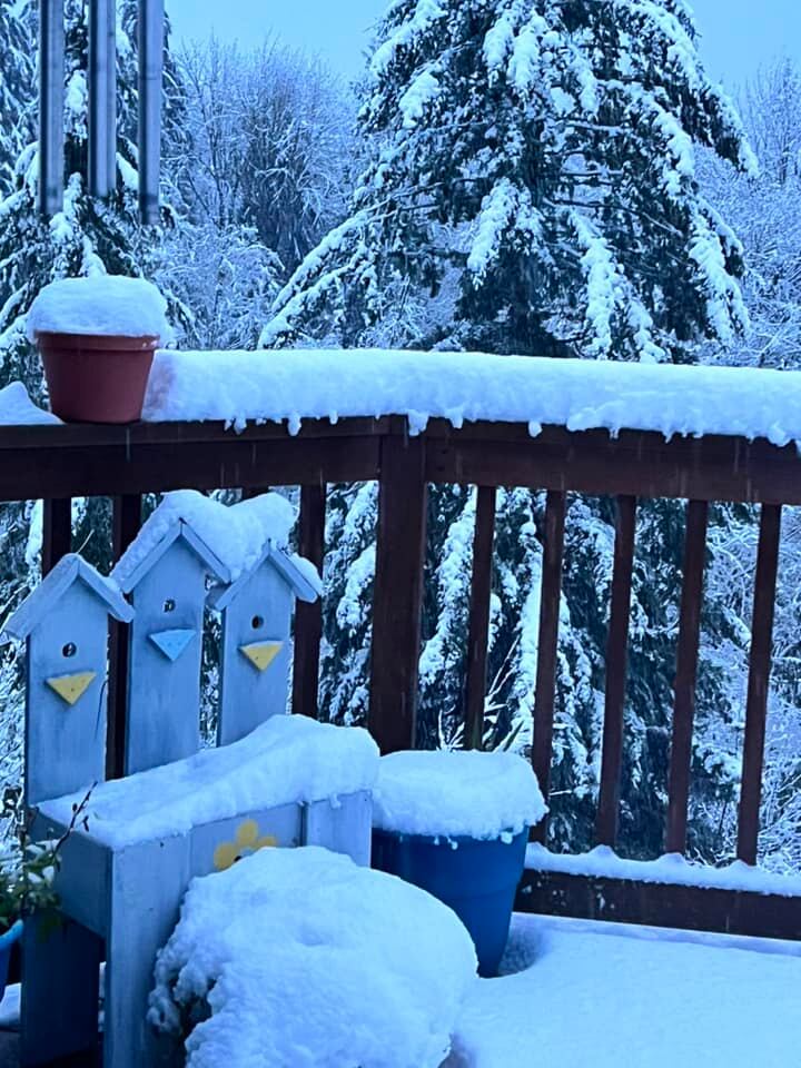 Snow in Silver Creek, WA