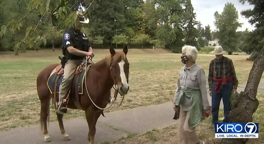 SPD gets two new police horses