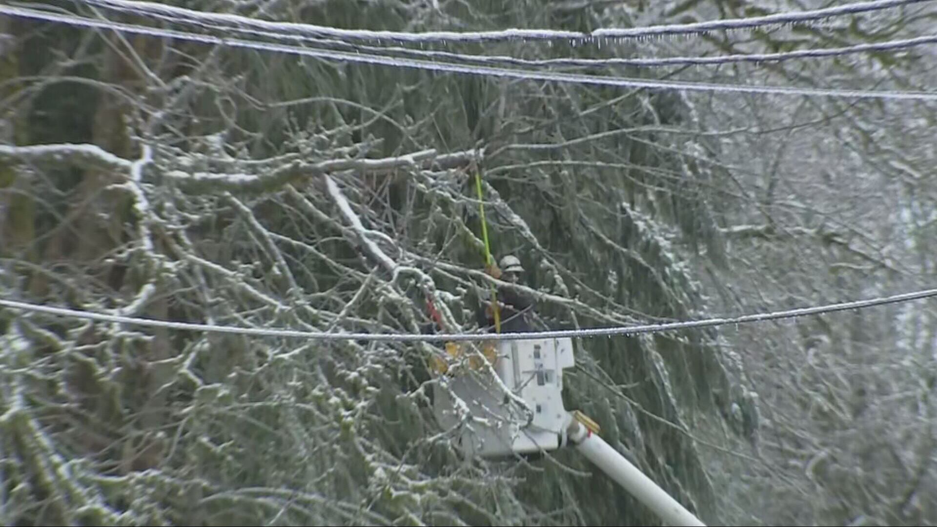 Crews at the scene of downed power lines in Monroe