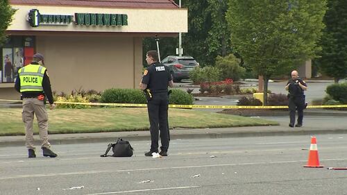Scene of fatal hit-and-run crash in Everett