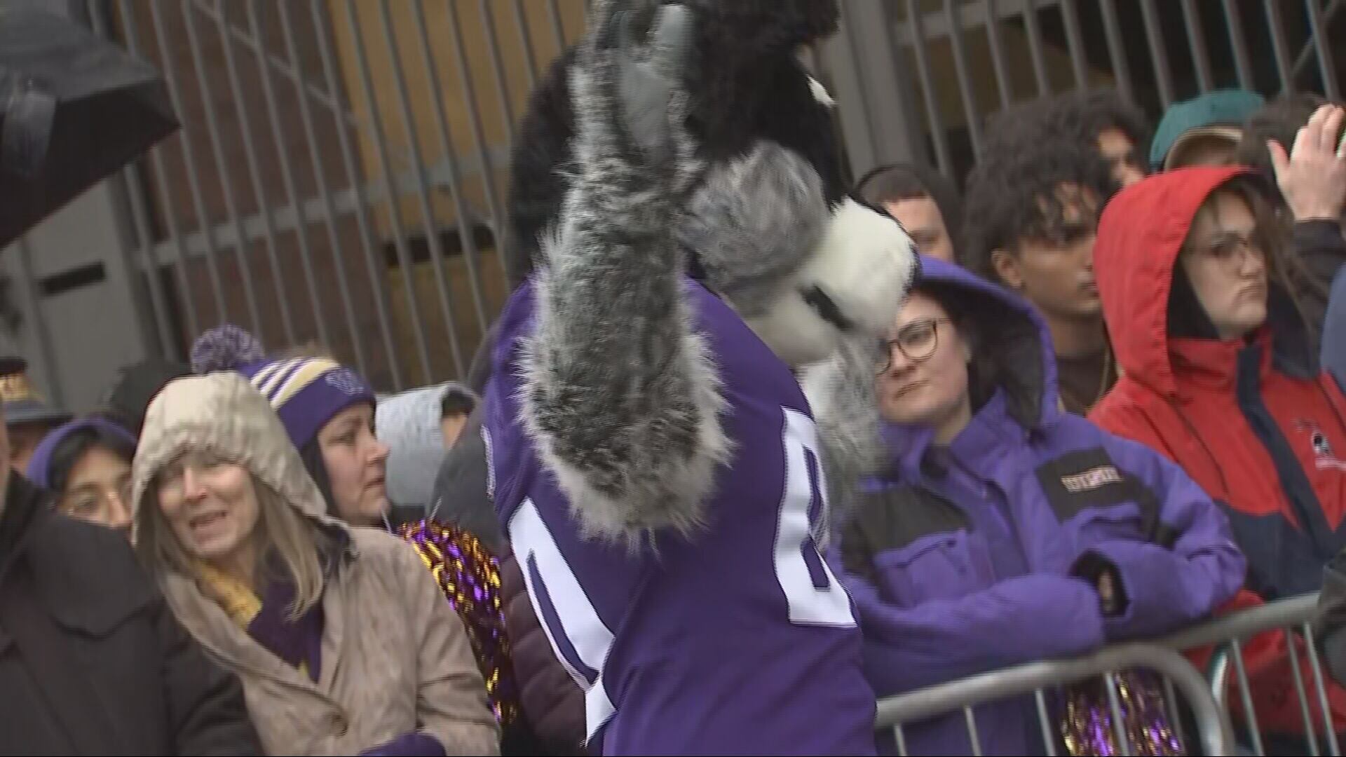 Fans show out in force to send the Huskies off