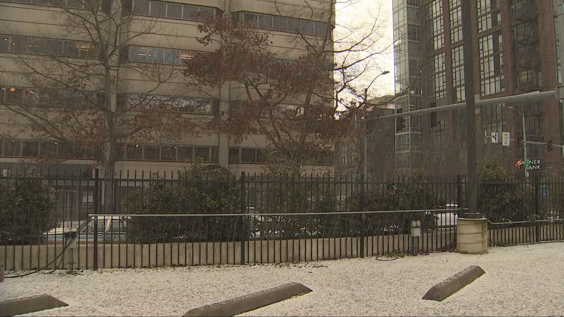 Snow and hail in Seattle on Thursday, Jan. 11