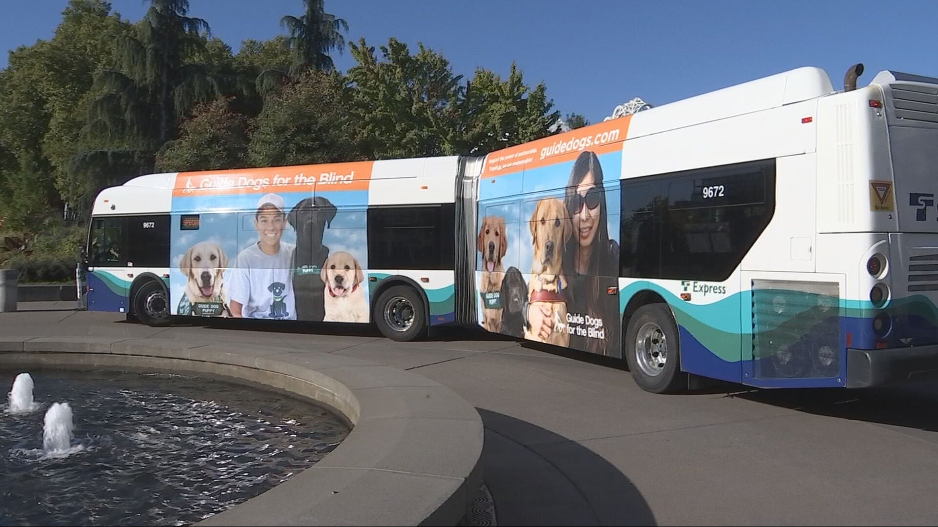 Guide-puppies training on King County Metro