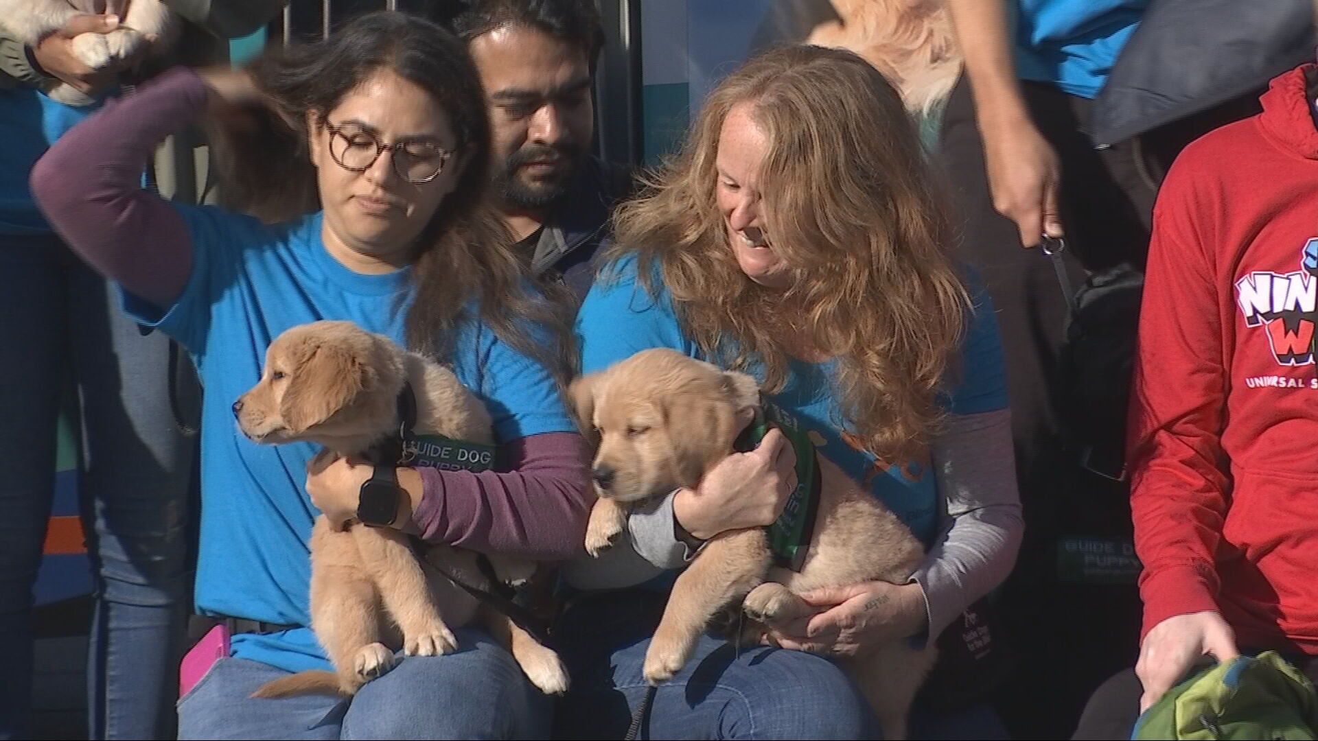 Guide-puppies training on King County Metro