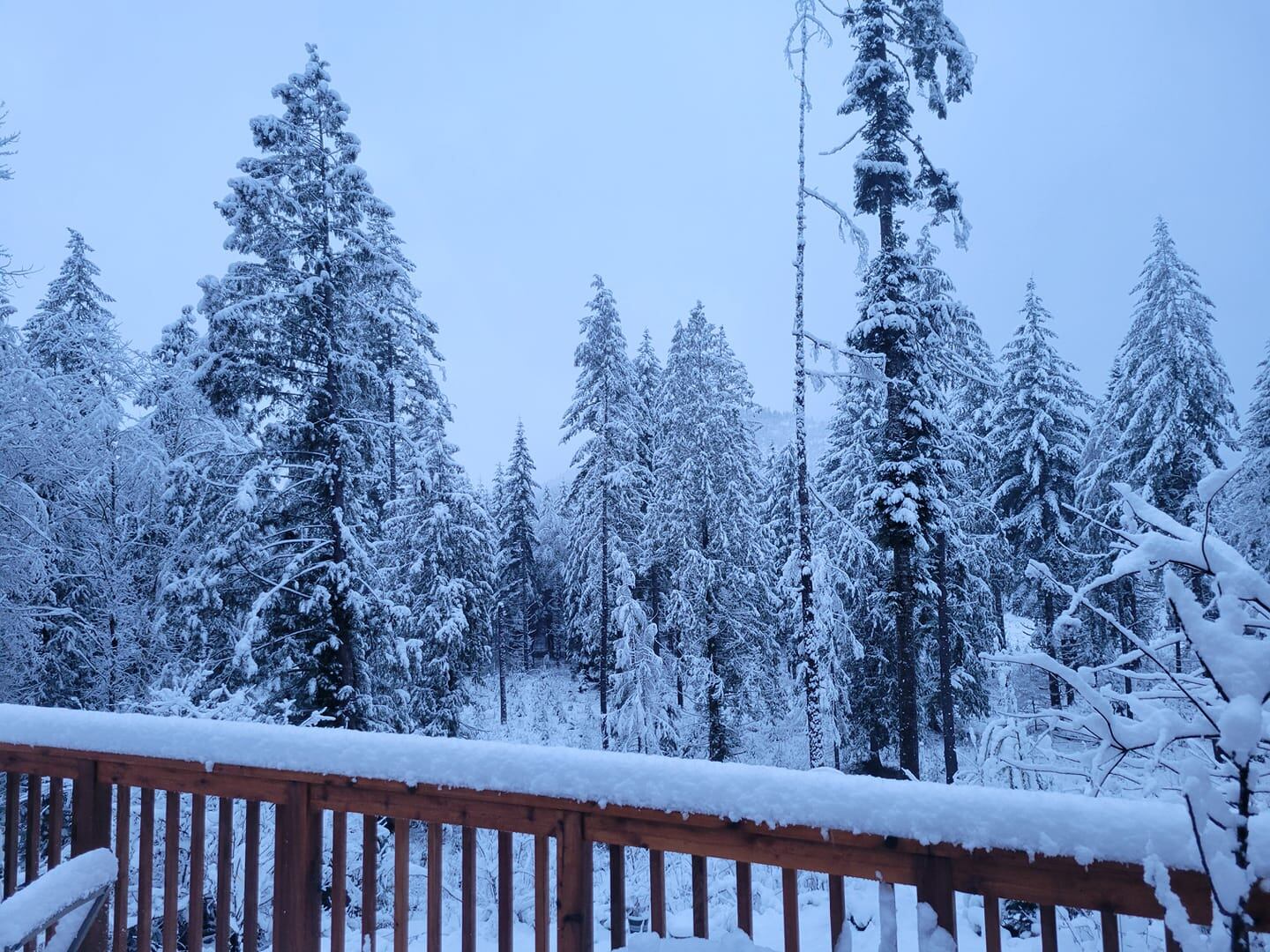 Snow in Mineral, WA