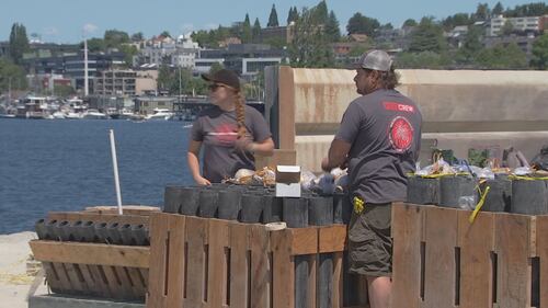 Lake Union 4th of July Fireworks