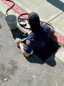 Gig Harbor duck rescue