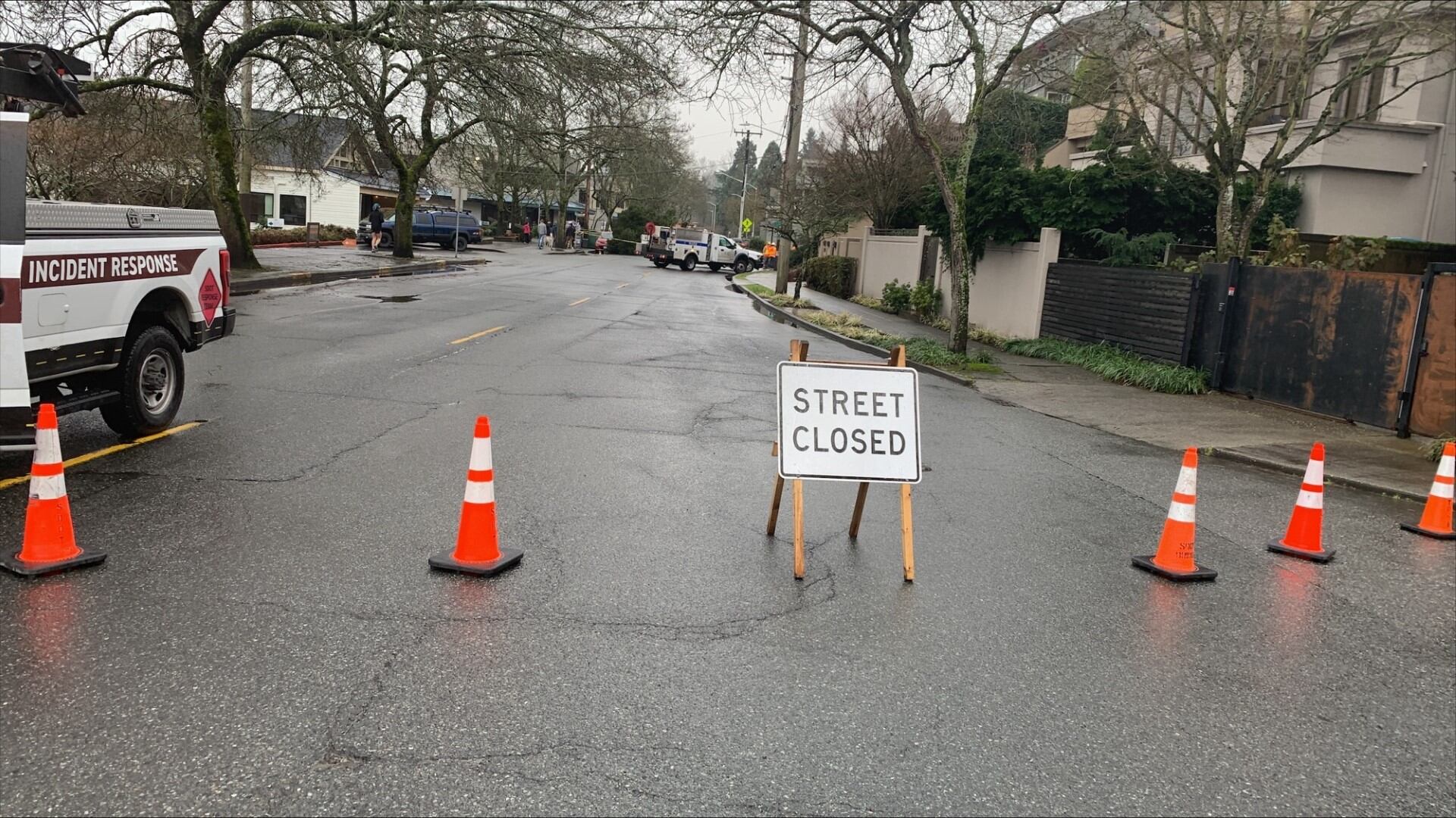 A landslide in Seattle's Leschi neighborhood came down on Lakeside Avenue near East Alder Street.