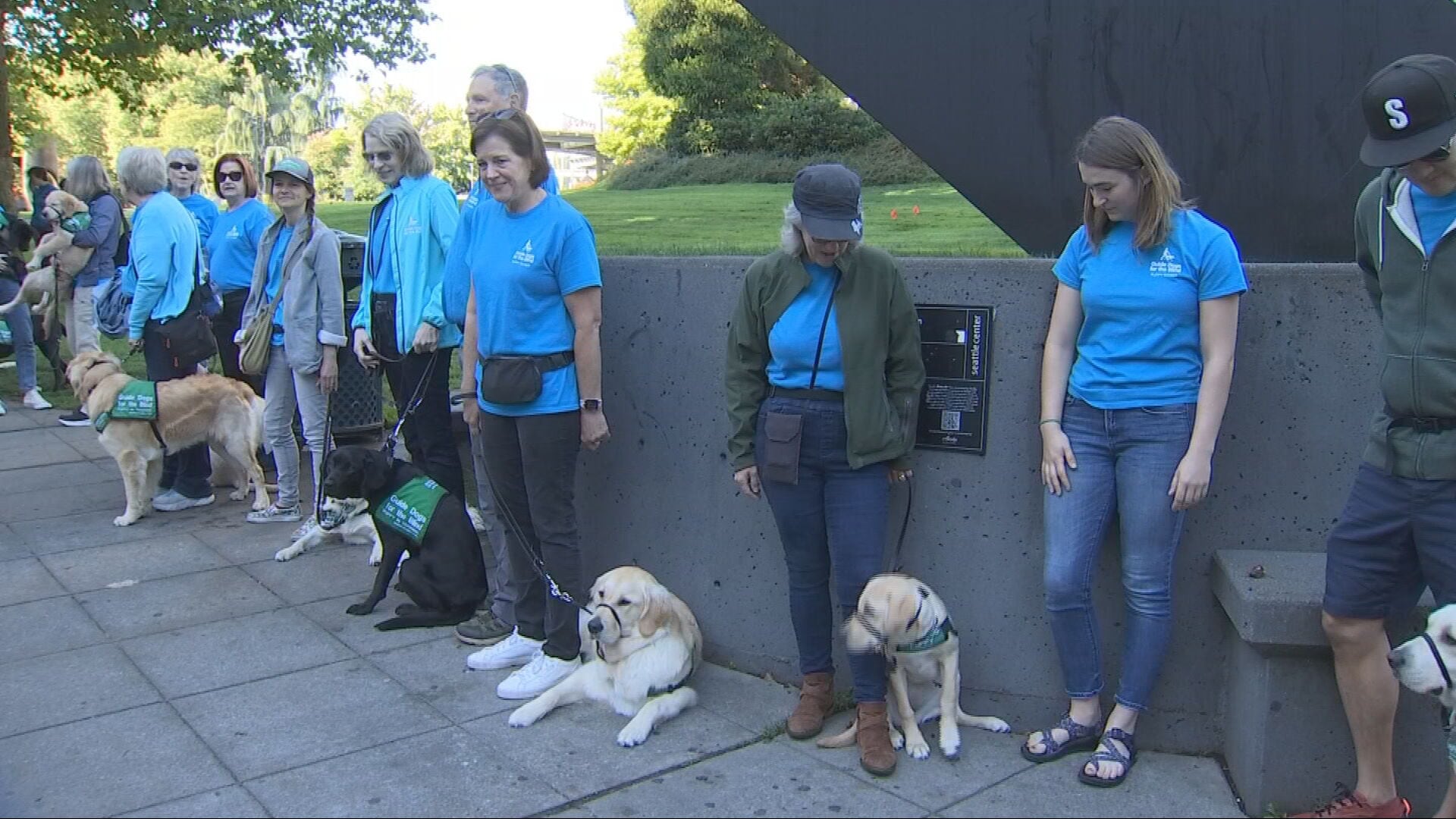 Guide-puppies training on King County Metro