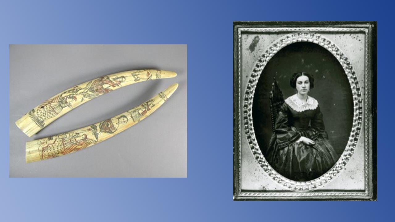 Scrimshawed tusks, an old photo