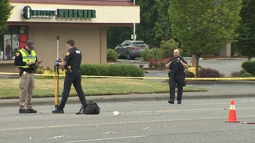 Scene of fatal hit-and-run crash in Everett