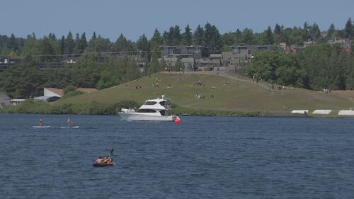 Lake Union 4th of July Fireworks