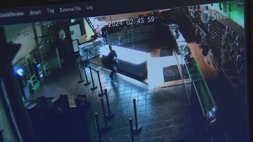 Surveillance video showed that the Hyundai backed into the store twice to break through.