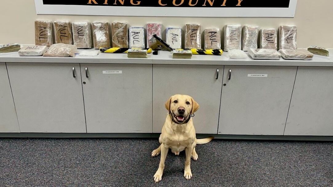 Detectives with the King County Sheriff’s Office seized a load of drugs that were being brought into Burien in a commercial vehicle on Sunday.