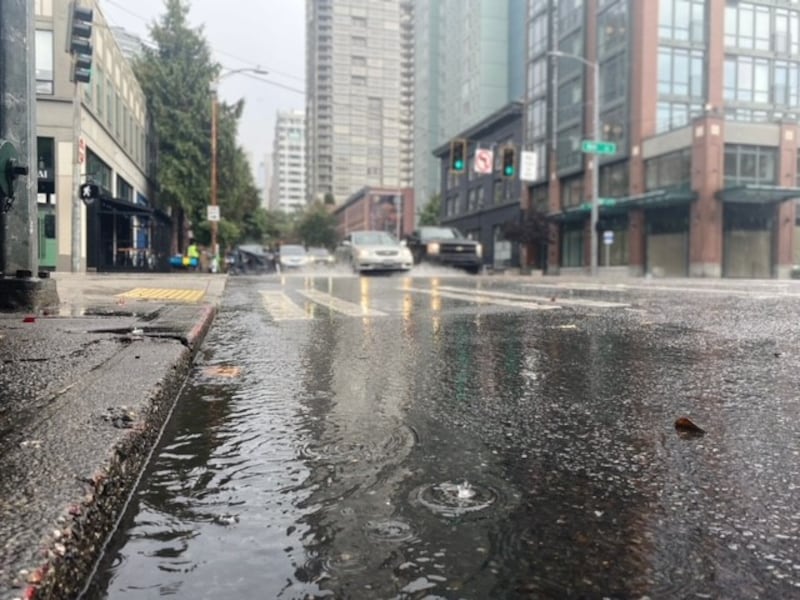 Seattle rain