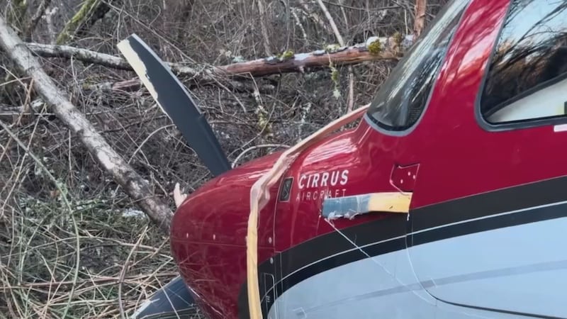 A pilot and a passenger were unhurt when their plane went down in Bellevue's Newport Hills neighborhood on March 5, 2024.