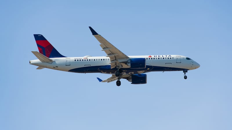 Pigeons cause not one but two Delta flight delays