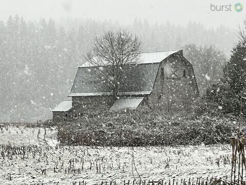 Snow in Startup, WA