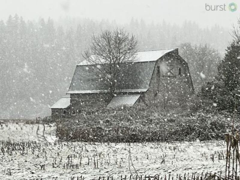 Snow in Startup, WA