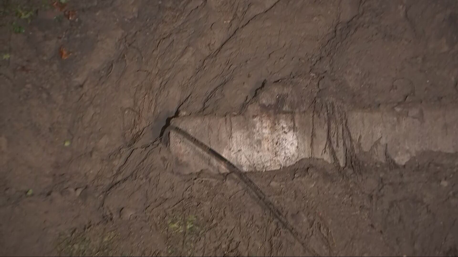 A landslide in Seattle's Leschi neighborhood came down on Lakeside Avenue near East Alder Street.