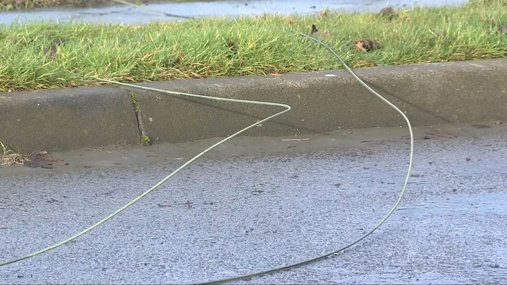 Downed power lines on East Marginal Way along SR 99