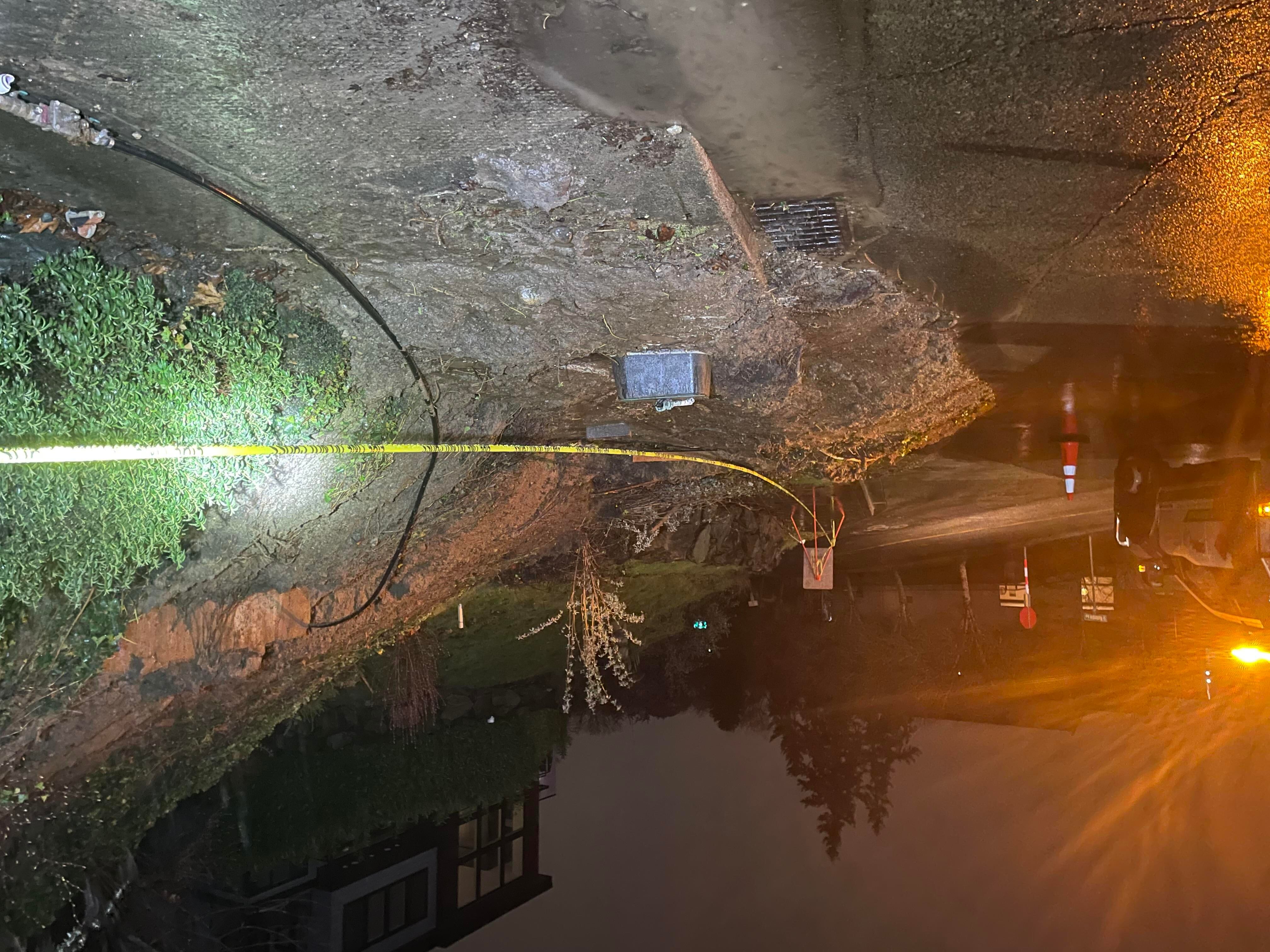 A landslide in Seattle's Leschi neighborhood came down on Lakeside Avenue near East Alder Street.