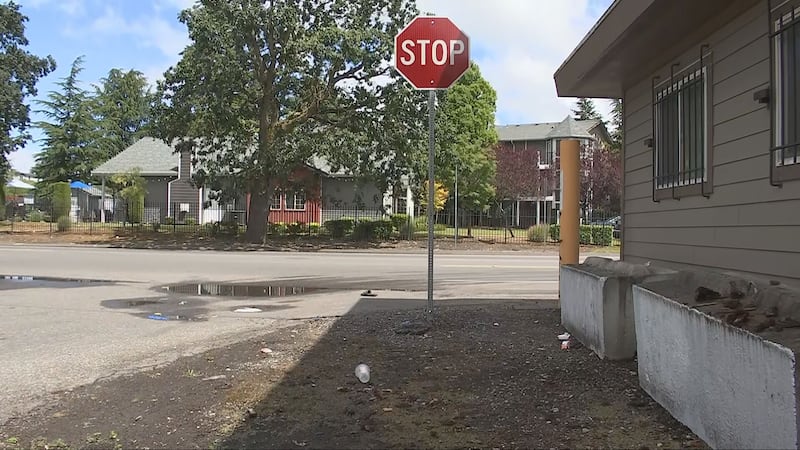 Man hit with birdshot in Parkland drive-by shooting