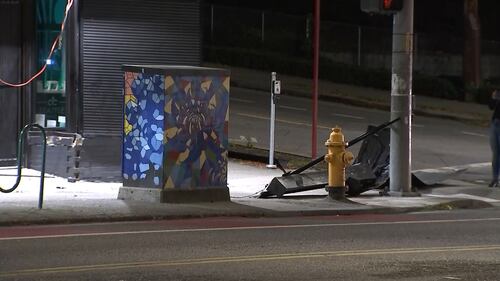 A car crashed into a Seattle cannabis shop early Thursday in an apparent burglary.