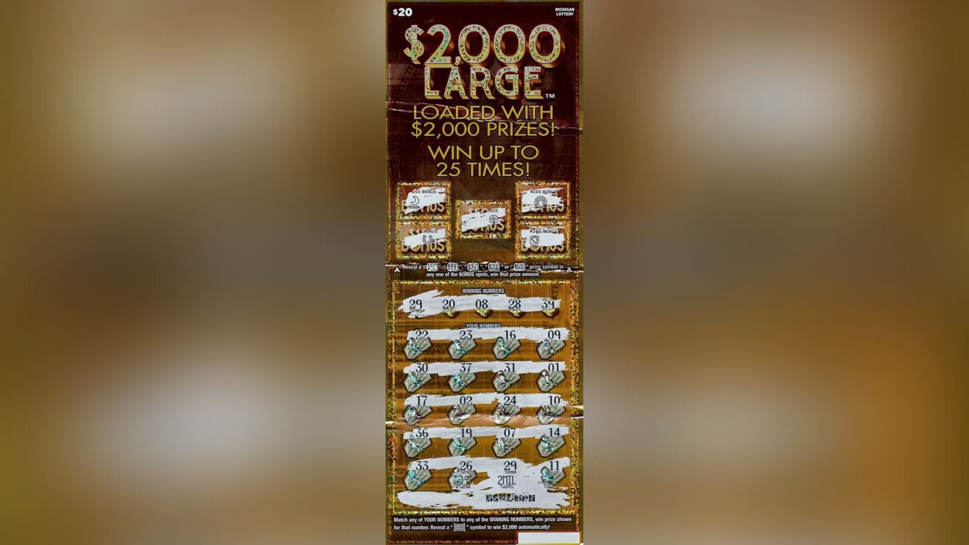 A woman went out to get pizza for dinner in Macomb County, Michigan, and ended up coming home a winner.