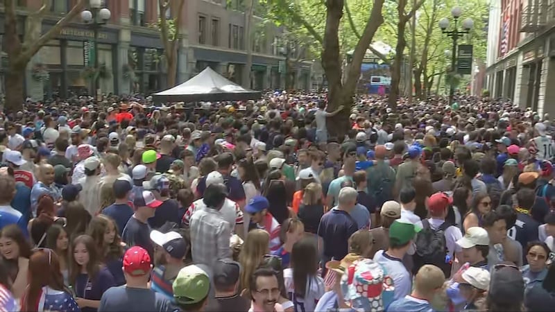 SPD: 4 arrested at US vs Australia World Cup game, no major incidents