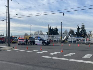 A plane crash in Auburn