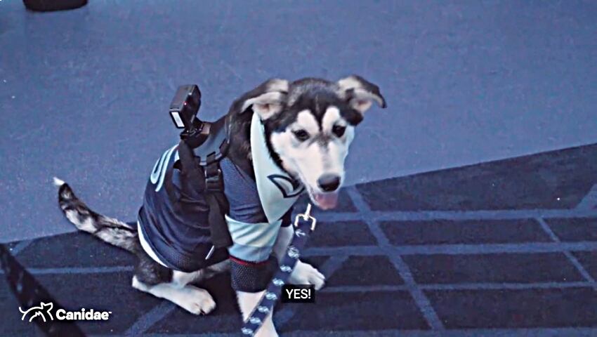 A new member of the Seattle Kraken made his debut at Climate Pledge Arena during Monday’s game against the Chicago Blackhawks.