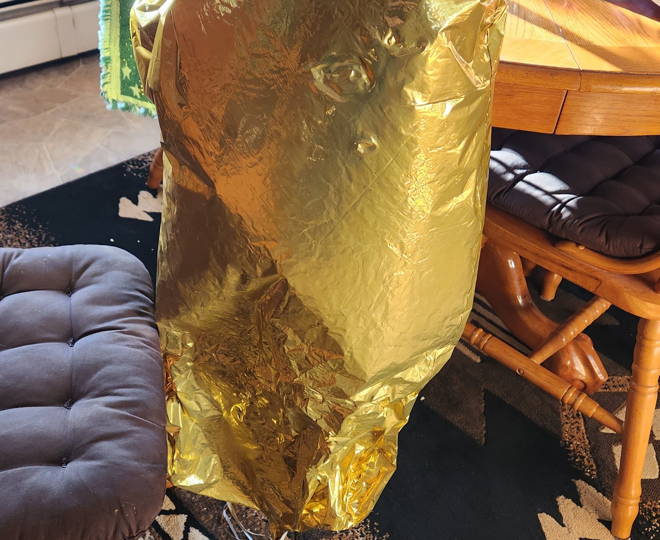 The balloon after it arrived in Canada.