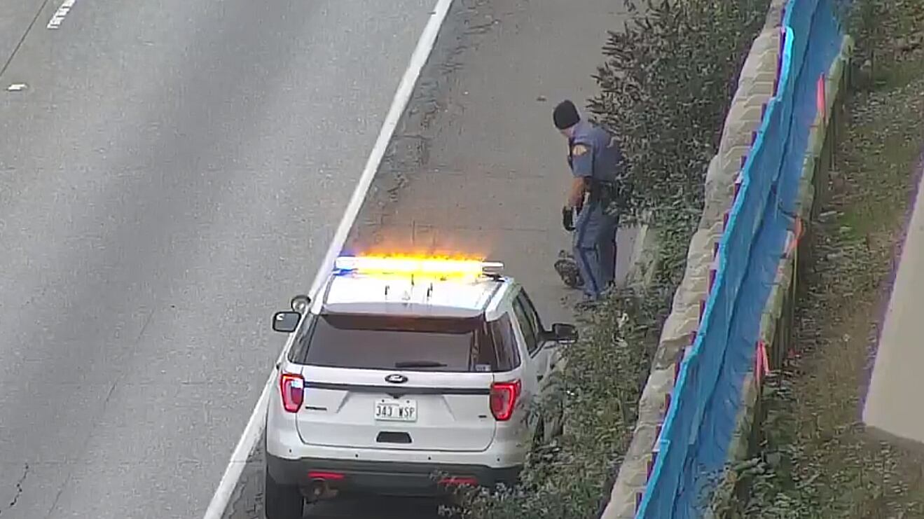 Chicken freeway WSDOT