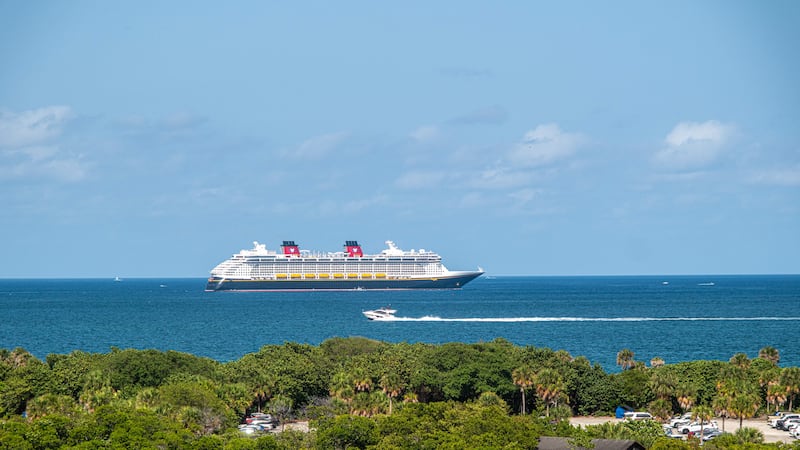 Child falls from Disney Dream cruise ship, father jumps in after her