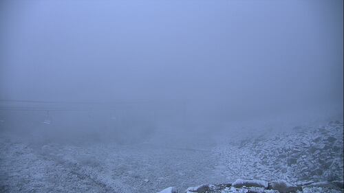 View of snow-covered ground from Skyline at Stevens Pass.