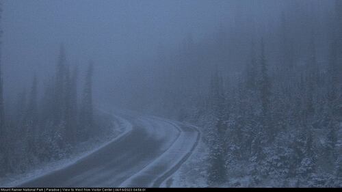 Looking at snow on the road and trees west from the visitor center at Paradise on Mount Rainier.