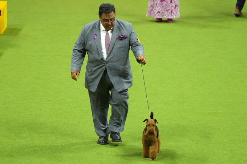 Westminster Kennel Club