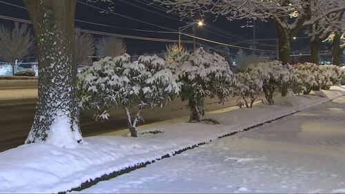 Snow fell in a narrow band just south of downtown Everett.