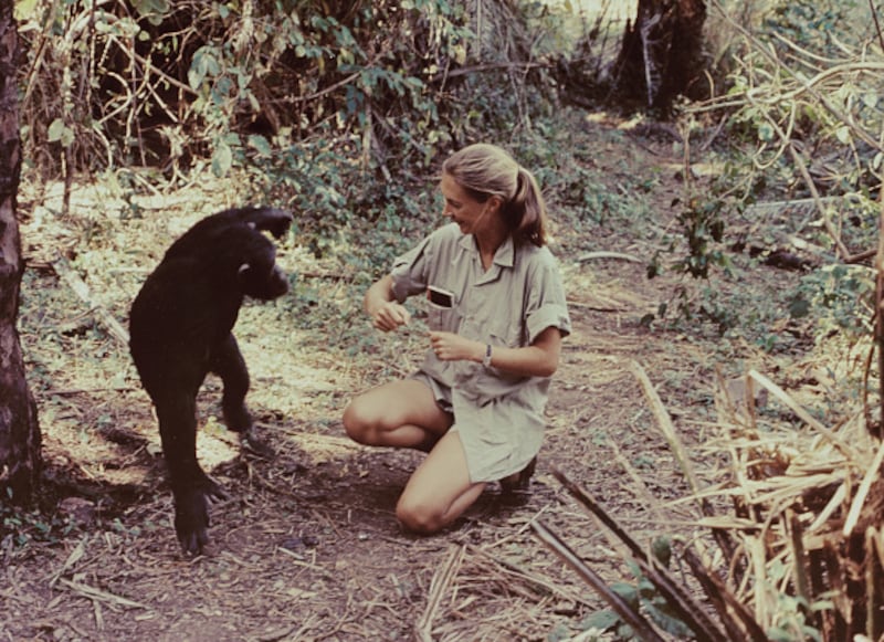 Dr. Jane Goodall