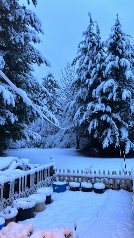 Snow in Mineral, WA